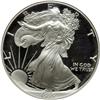 Image 5 : 1995 10th Anniversary American Eagle Proof Set