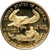 Image 2 : 1998-W $5 Eagle