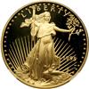1995-W American Gold Eagle Proof Set