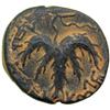 Image 1 : Jewish Coinage. The Bar Kokhba War, 132-135 CE. AE Middle Bronze (25 mm) attributed to year 3 (134-1
