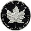 Image 1 : Canada. Platinum Maple Leaf Proof Set: 50, 20, 10 and 5 Dollars, 1989. NGC PF69