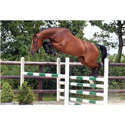 D'AMOUR VDL -  Bid is for 1 of 60 payments