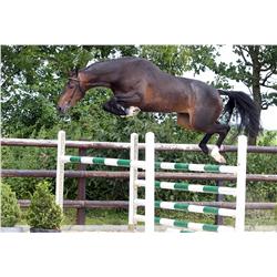 DAME VDL - Bid is for 1 of 60 payments