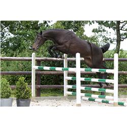 DINEA VDL - Bid is for 1 of 60 payments