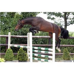EDGAR VDL - Bid is for 1 of 60 payments