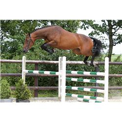 DAREEDOM VDL - Bid is for 1 of 60 payments