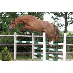 DERDITA VDL - Bid is for 1 of 60 payments