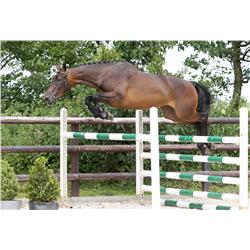 DIVINA VDL - Bid is for 1 of 60 payments