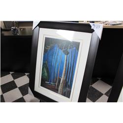 LIMITED EDITION PRINT 62/175