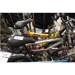 PURPLE KOKANEE MOUNTAIN BIKE & GREY MINELLI