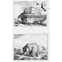 [Gheeraerts, Marcus - Potter, Paulus] - 11 su