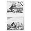 Image 1 : [Gheeraerts, Marcus - Potter, Paulus] - 11 su