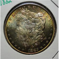 1882 Morgan $  beautifull toning MS64/65