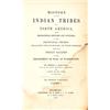 Image 3 : History of the Indian Tribes of North America