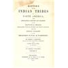 Image 7 : History of the Indian Tribes of North America