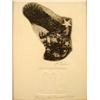Image 2 : Elizabeth Delson Original Etching Scorpio & Eagle Frmd