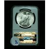 Image 2 : NGC 1922-p Peace Dollar Graded Select Uncirculated ms63  NGC