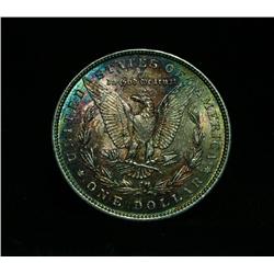 1896-p Morgan Dollar $1 Grades Choice Uncirculated ms64 colorfully toned
