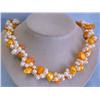 Image 1 : Fresh Water and Mother of Pearl Necklace