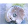 Image 1 : White Gold Necklace with Round and Blue Diamonds