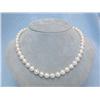 Image 1 : Pearl Necklace with White Gold 14k Clasp