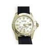 Image 1 : Swiss Army Men's Dive Master 500 Watch