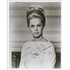 Image 1 : Tippi Hedren