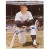 Image 1 : Mickey Mantle