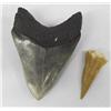 Image 2 : Pair Of Sharks Teeth