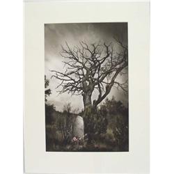 Robert Medina Cook Archival Pigment Print