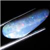 4.9ct Australian Black Opal Doublet Full Fire (GEM-36171)