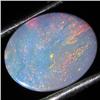 1.65ct Australian Black Opal Doublet Full Fire (GEM-35878)