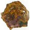 4835ct Vibrant Color Petrified Wood Cut Slab (MIN-000042)