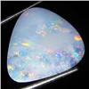 6.5ct Australian Black Opal Doublet Full Fire (GEM-36196)