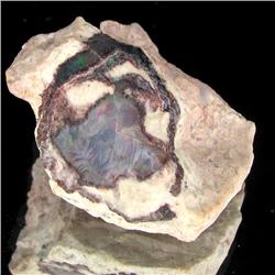 39ct Mexican Boulder Opal (GEM-35367)