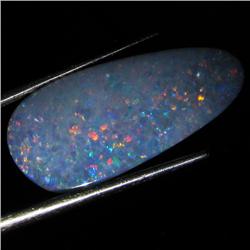 6.15ct Australian Black Opal Doublet Full Fire (GEM-36551)
