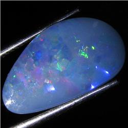 4.74ct Australian Black Opal Doublet Full Fire (GEM-35969)