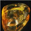 Image 1 : 20.45ct Real Natural Amber Many Fossil Insect (GEM-29356)