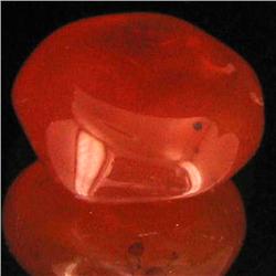 12.15ct Carnelian Freeform Cabochon (GEM-34066)