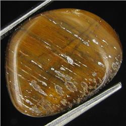 8.54ct Tiger Eye Cabochon  (GEM-33512C)