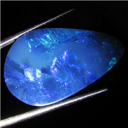 11.1ct Australian Black Opal Doublet Full Fire (GEM-36575)