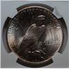 Image 3 : 1923 Peace $  NGC64+