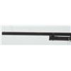 Image 12 : Winchester Model 12 12 Gauge Shotgun FFL