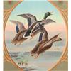 Image 9 : 1904 Winchester "They Are Hitters" Poster
