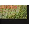 Image 8 : Infallible Smokeless Powder Advertising Poster