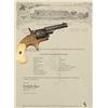 Image 1 : Engraved Colt Open Top .22 Vest Pistol