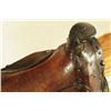 Image 9 : Early Spotted Childs Saddle with Stand