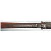 Image 18 : Highly Engraved Double Damascus Pin-Fire 20 Ga