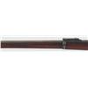 Image 19 : U.S. Springfield 1884 Trapdoor Rifle