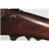 Image 21 : U.S. Springfield 1884 Trapdoor Rifle
